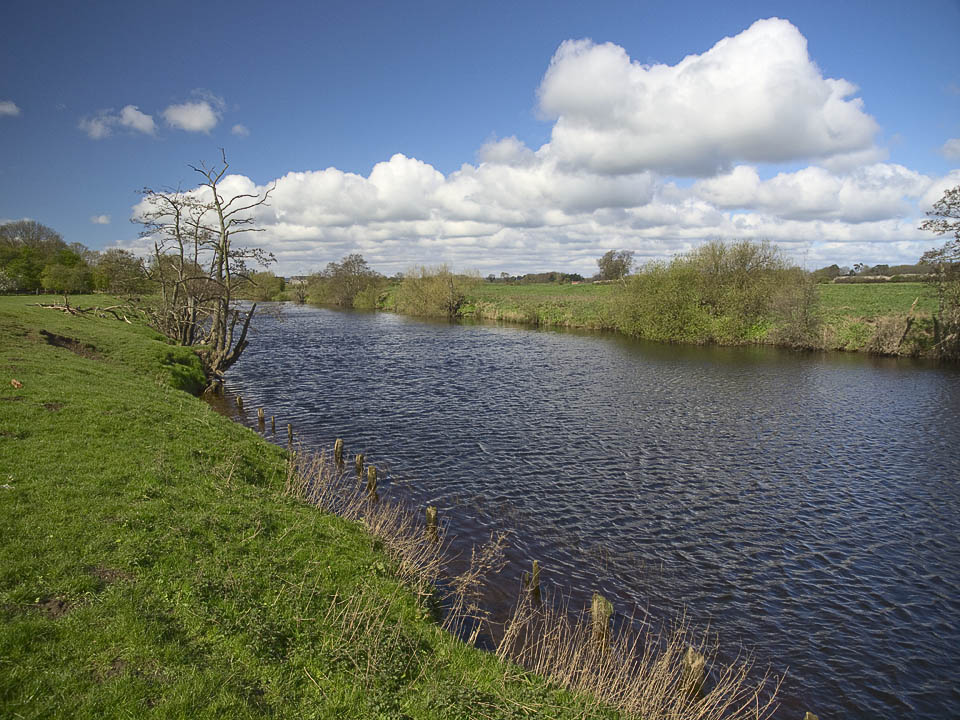 River Ure near Roecliffe
