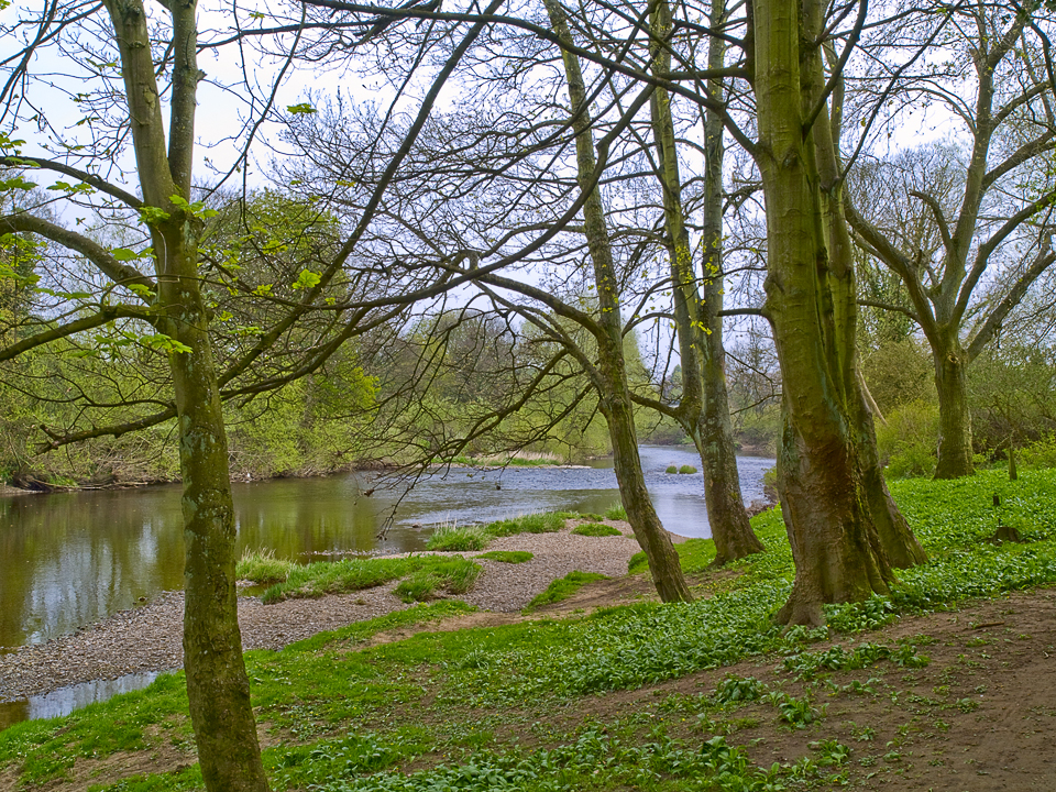 The River Wharfe flows on between Linton and Collingham