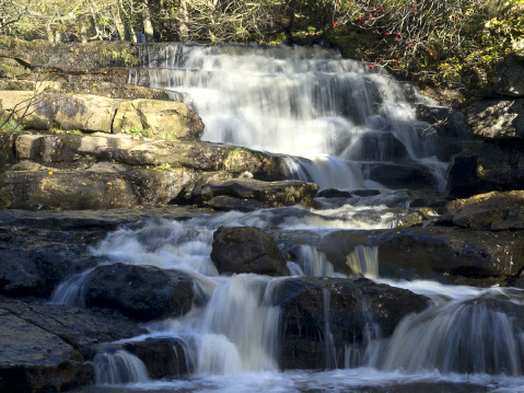 Stonesdale beck at Catrake Force
