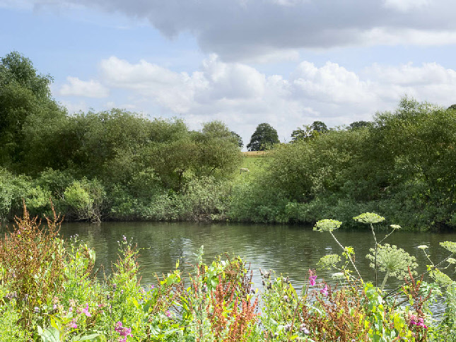 Riverbank at Aldwark