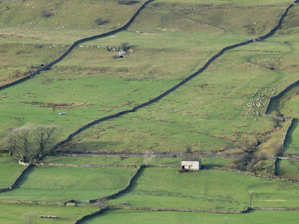 Barns and drystone walls, Raydale