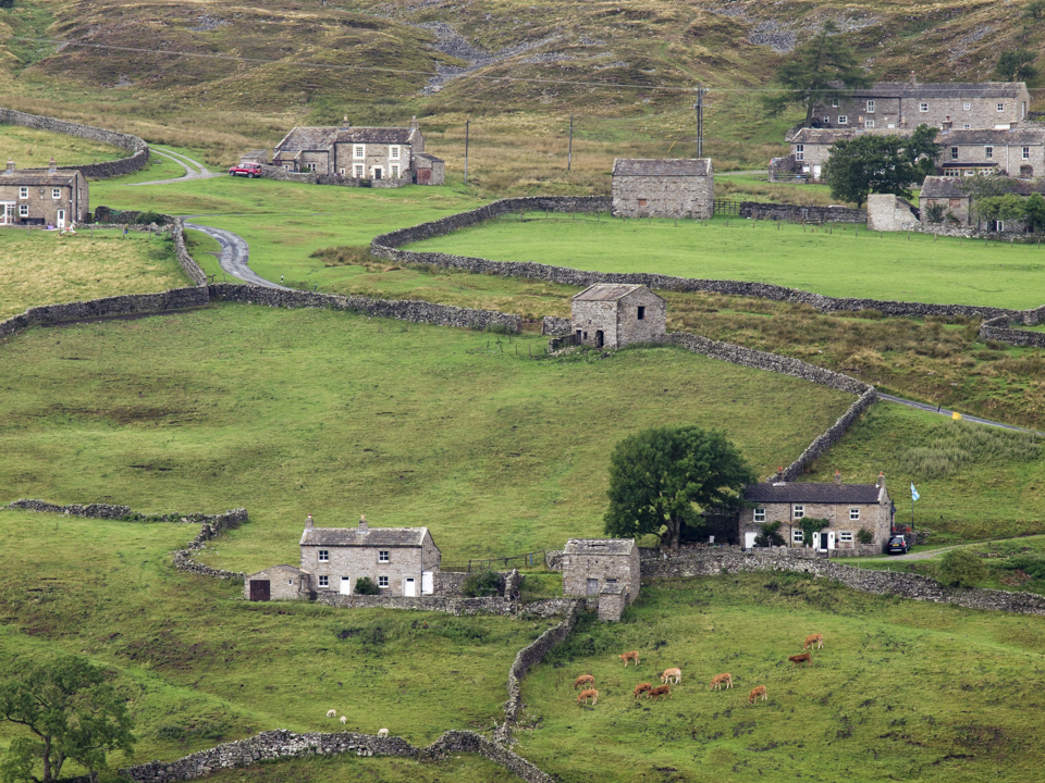 Cottages at Low Row
