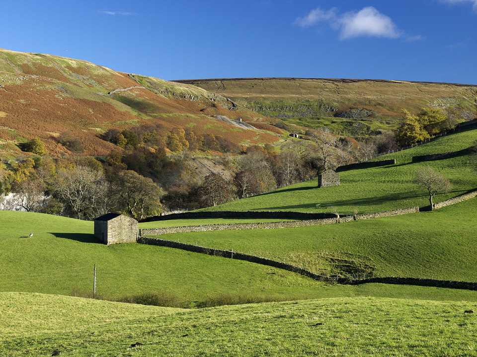 Countryside near Keld