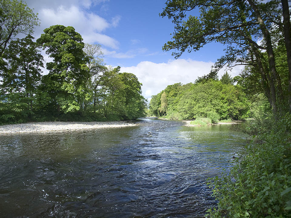 Confluence of rivers Cover and Ure