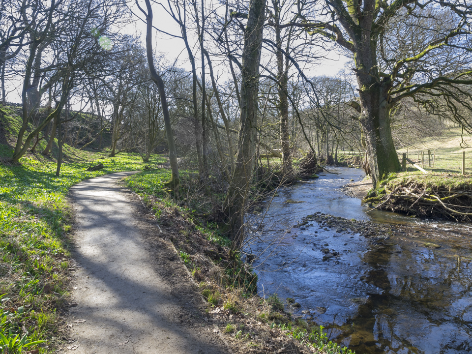River Dove