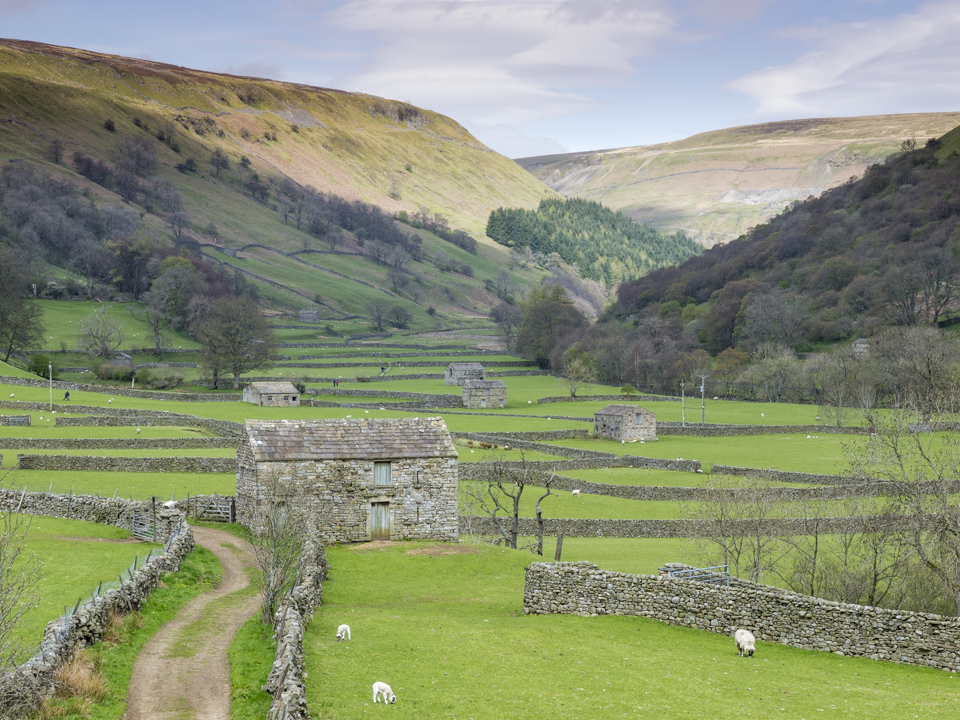 Swaledale at Muker