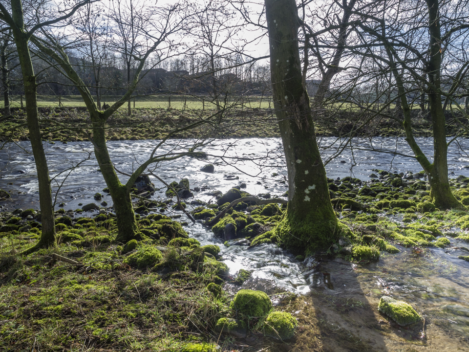 River Ribble at Stackhouse