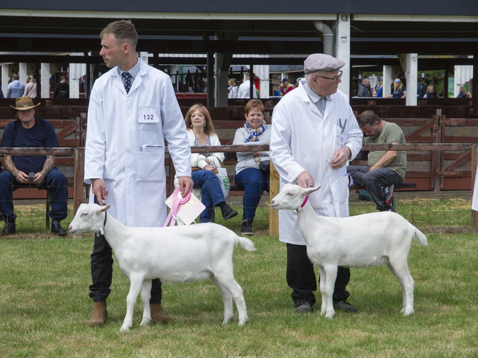 The Great Yorkshire Show, 2023