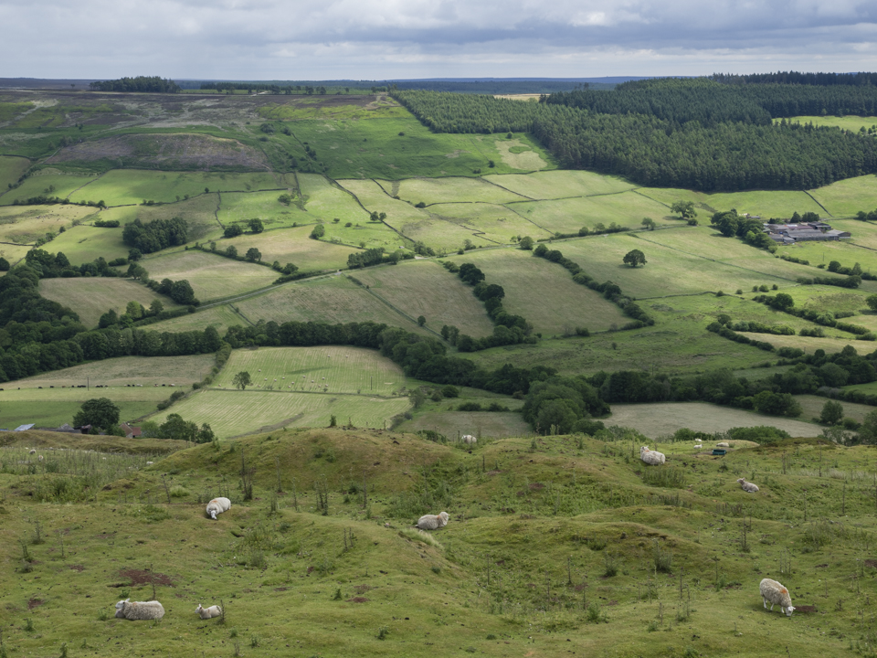 Mining Spoil heaps, Bank Top