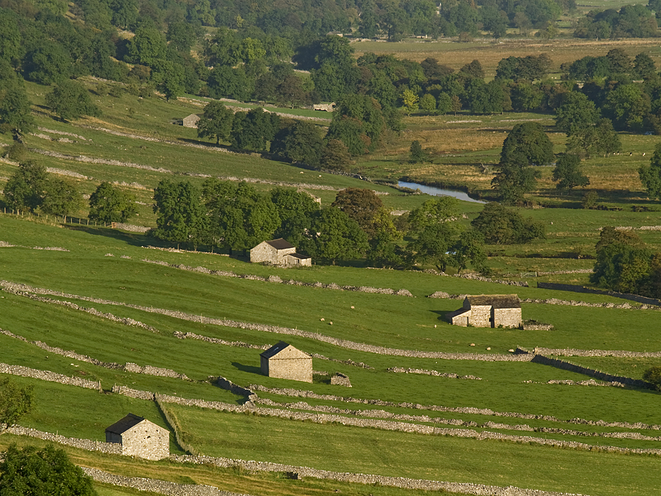 Barns, upper Wharedale