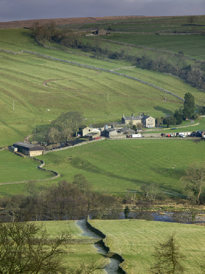 Farm at Appletreewick