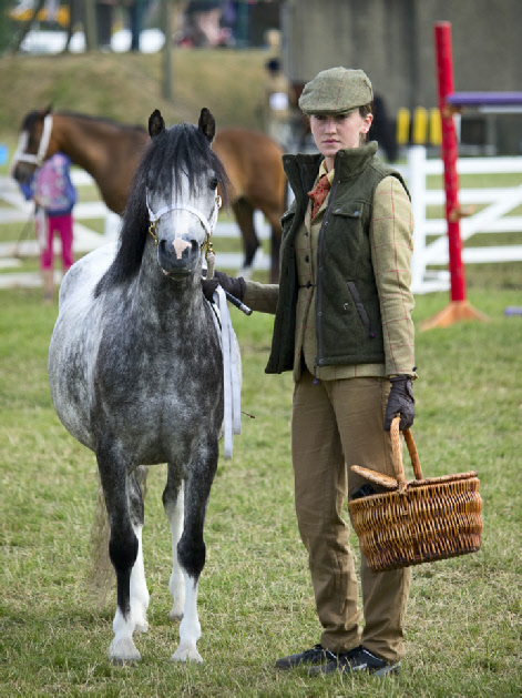 Horse and handler, Great Yorkshire Show