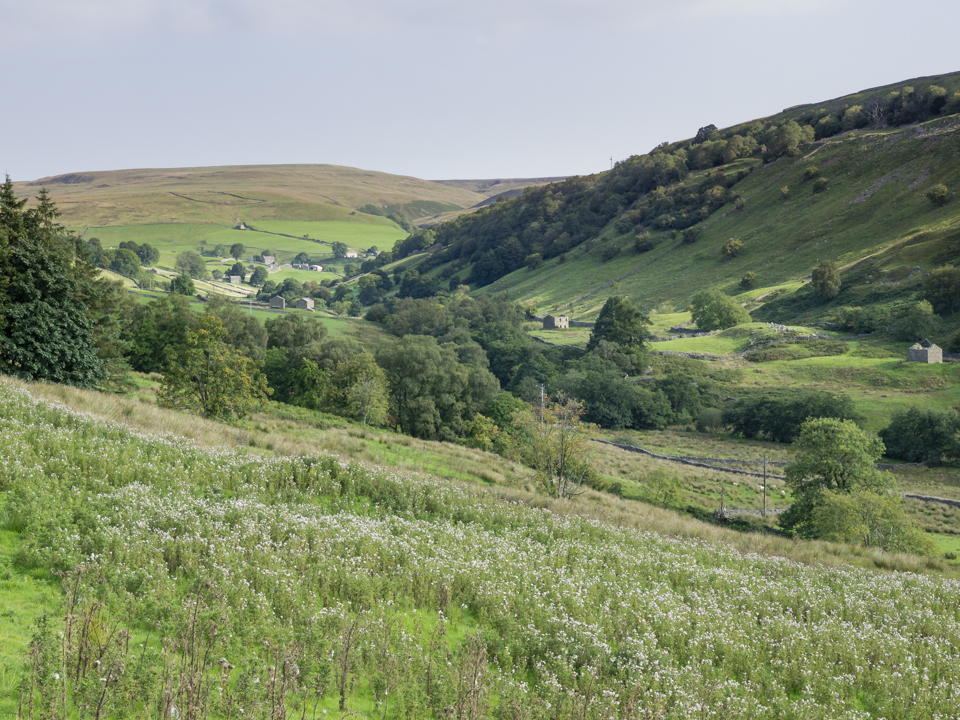 The Swale vallet above Thwaite