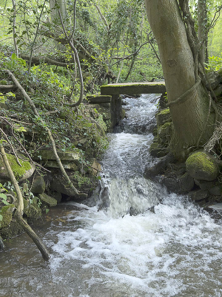 Stream near Mickley