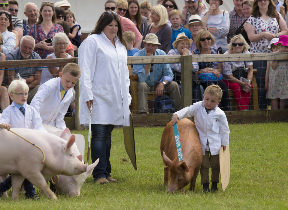 Great Yorkshire Show, 2015