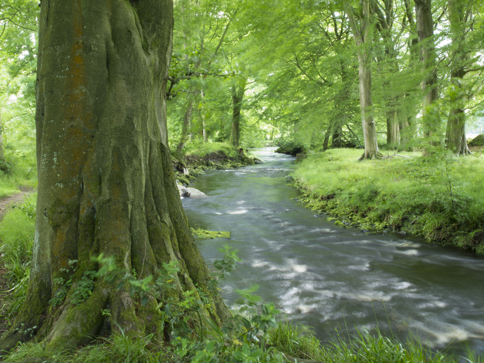River Washburn
