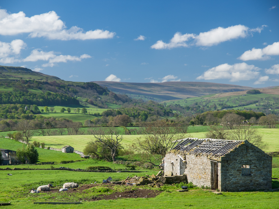 Countryside near Castle Bolton