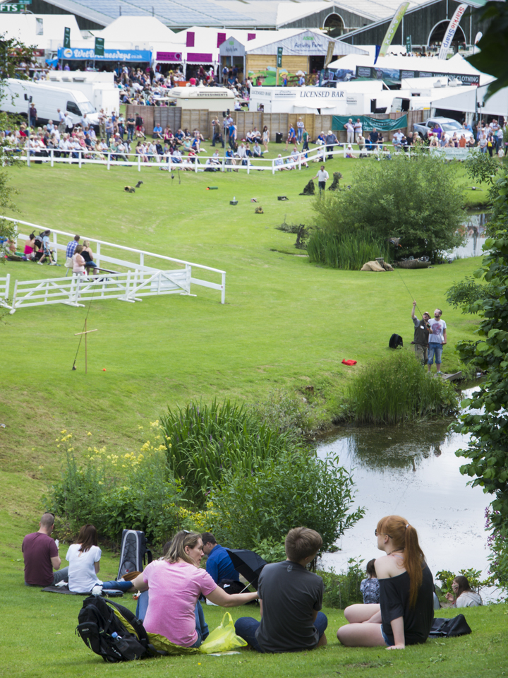 Great Yorkshire Show, 2015