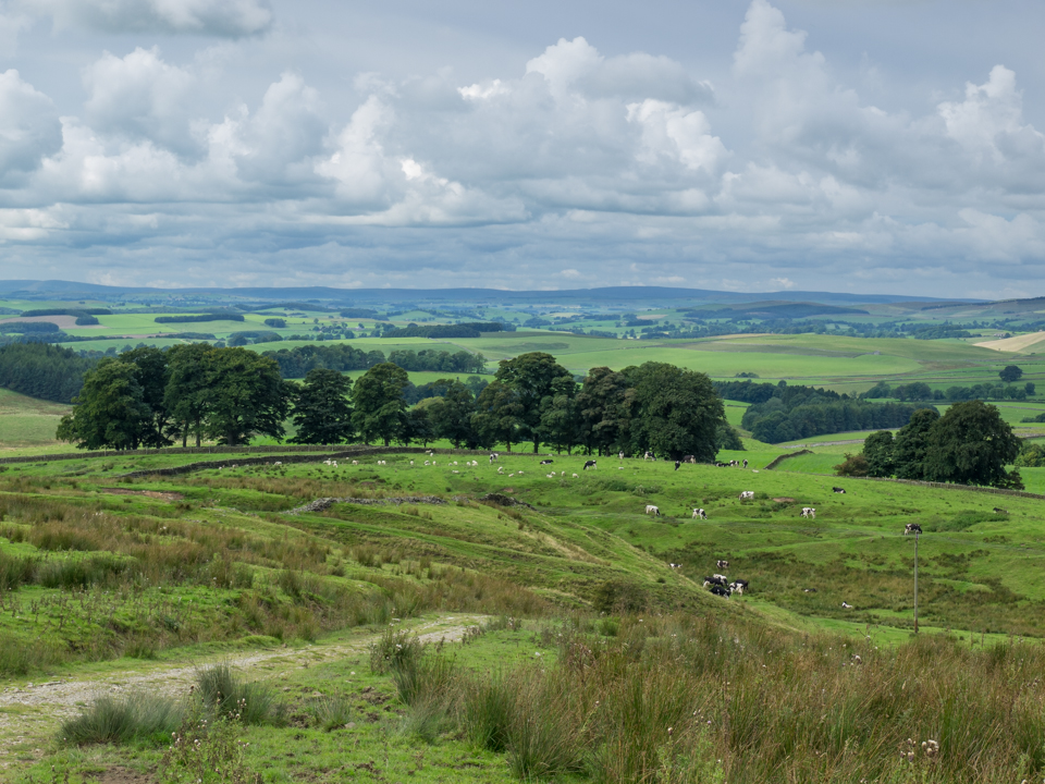 Countryside near Rylstone