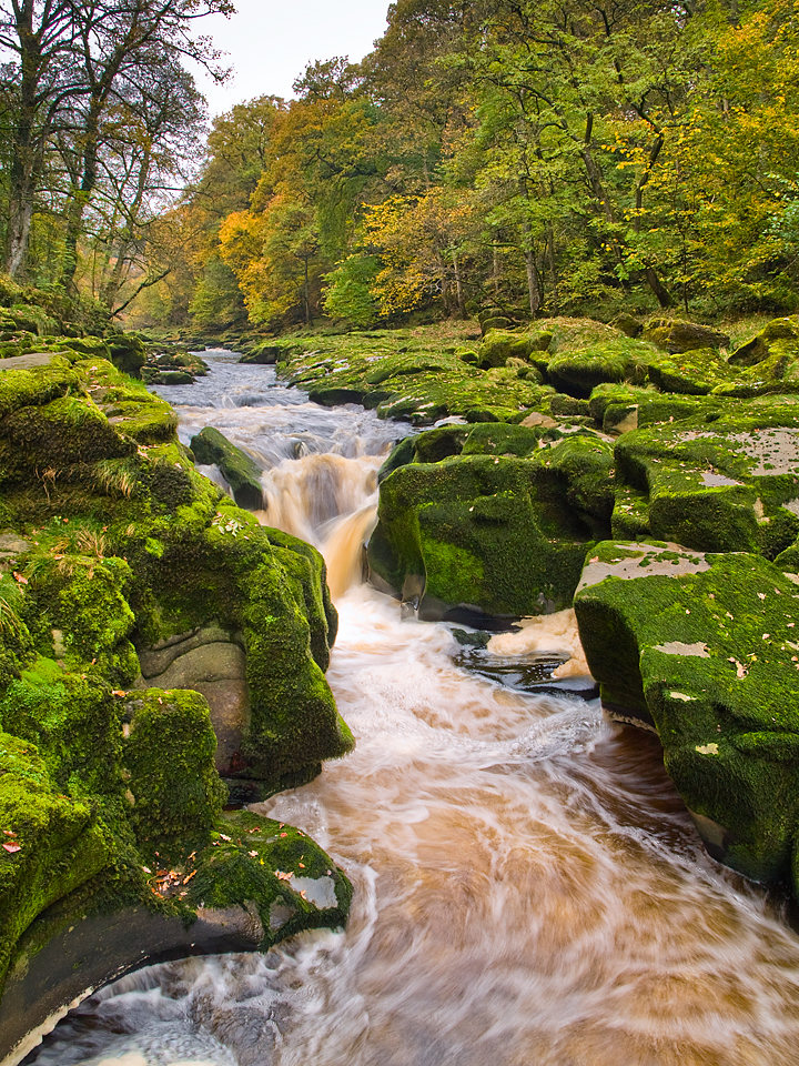 Strid