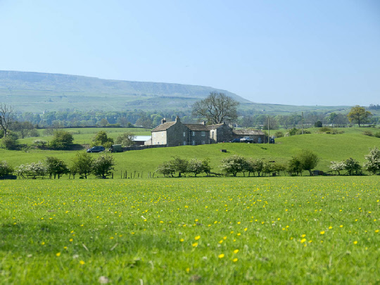 Near West Witton