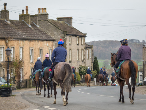 Racehorses, Middleham, Wensleydale