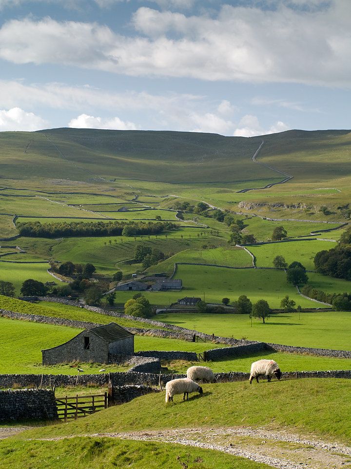 Countryside near Conistone