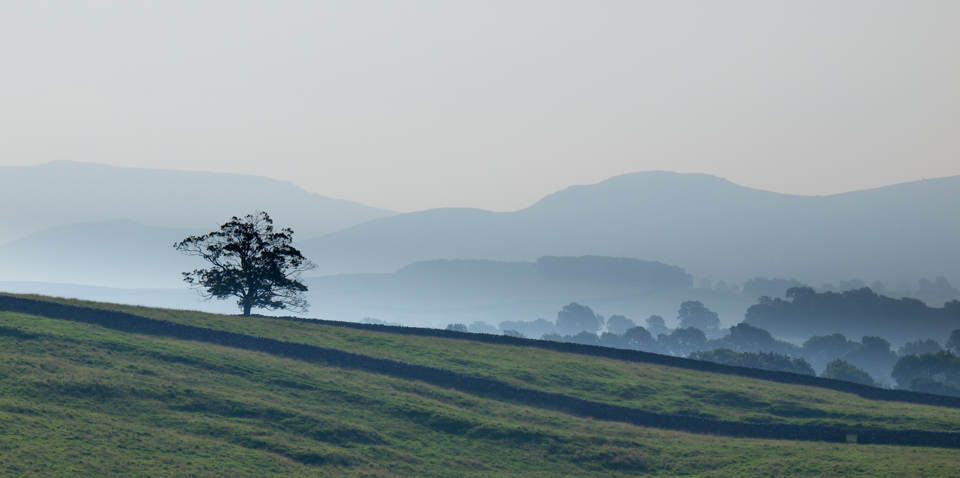 Barden Moor skyline from Warber Hill