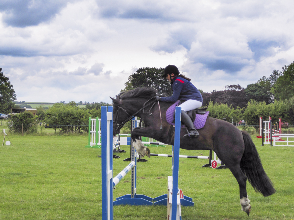 Weeton show, 2015