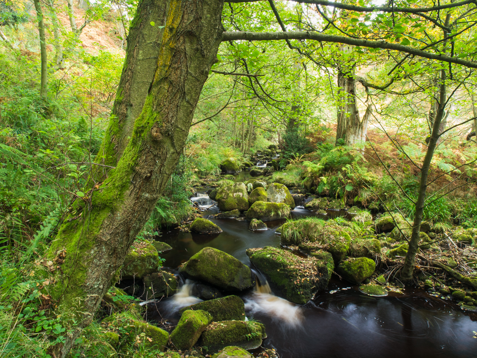 Posforth Gill, Valley of Desolation