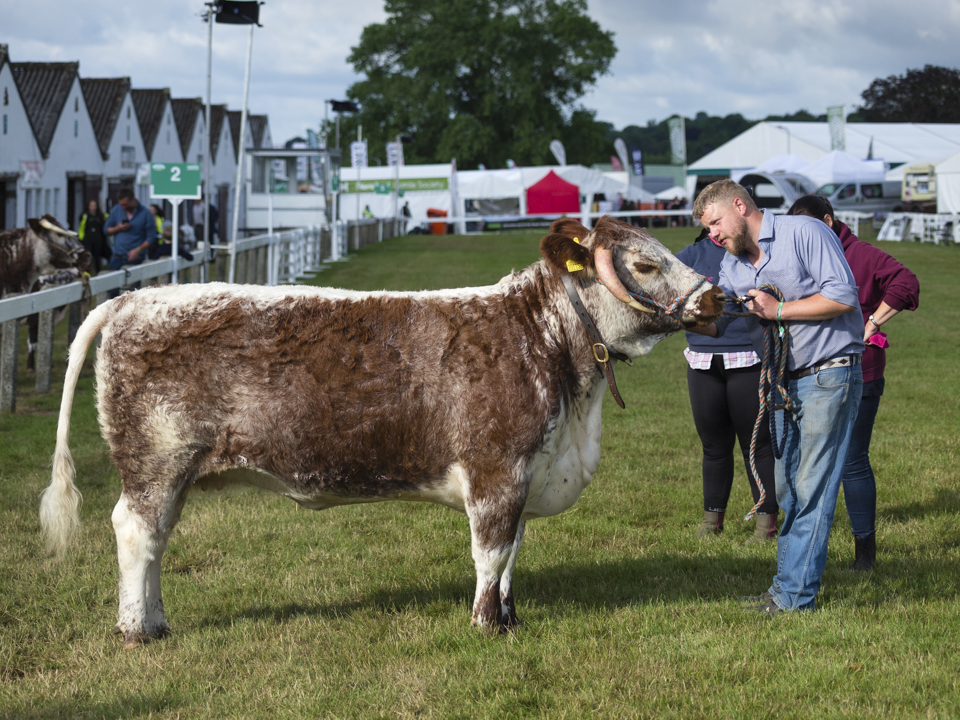 The Great Yorkshire Show, 2023