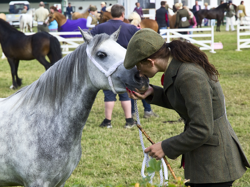 Horse and handler, Great Yorkshire Show