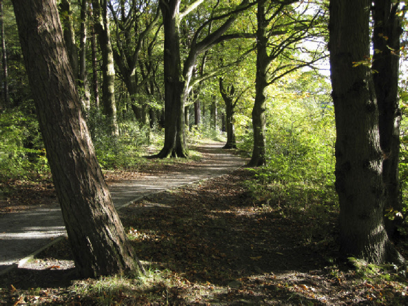 The footpath along Swinsty reservoir
