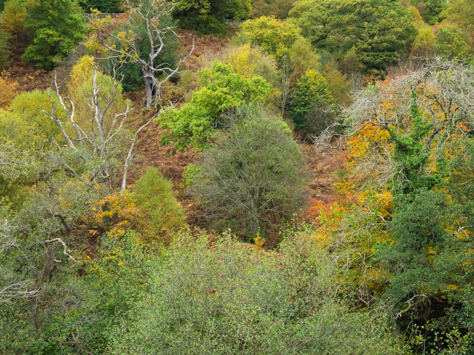 Valley of Desolation