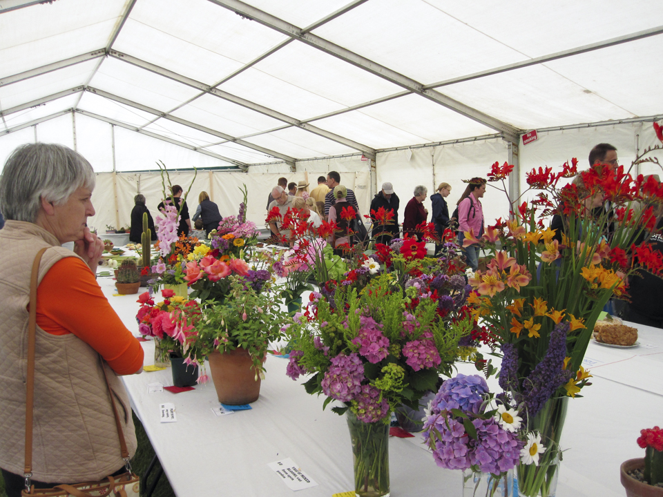 Weeton show, 2015