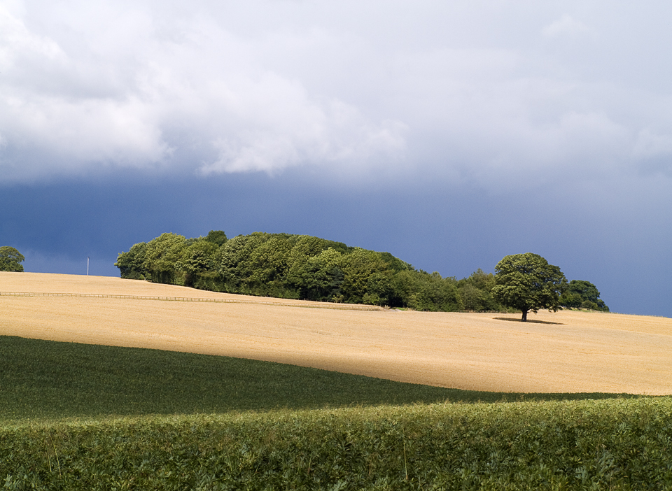 Farmland near Otley