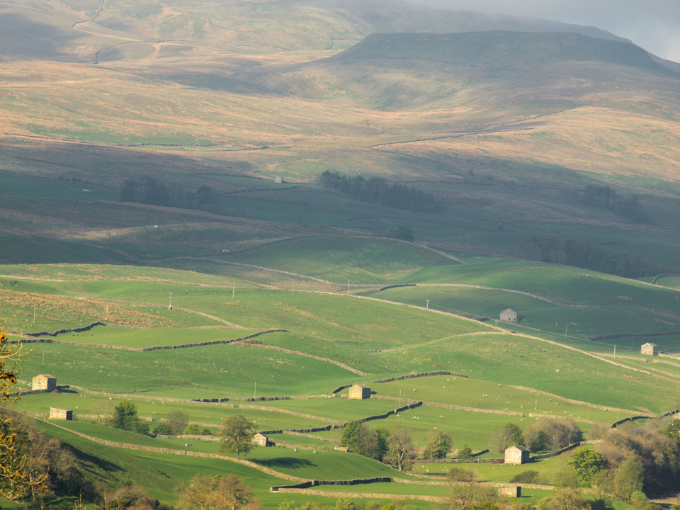 Barns in Upper Wensleydale viewed from Askrigg Common
