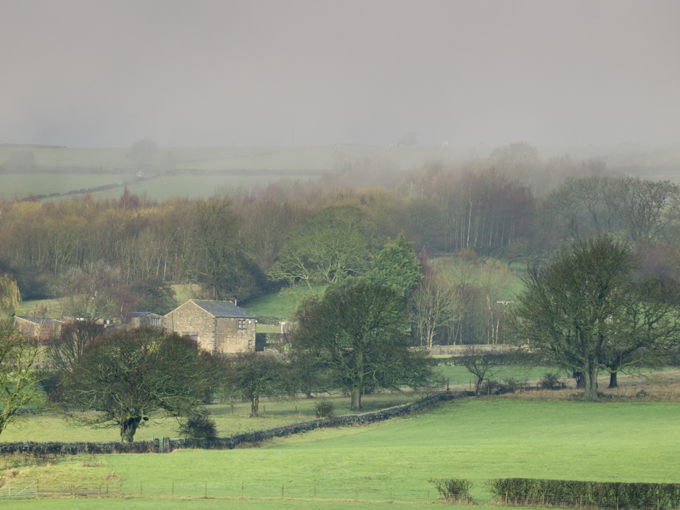 Guiseley Moor