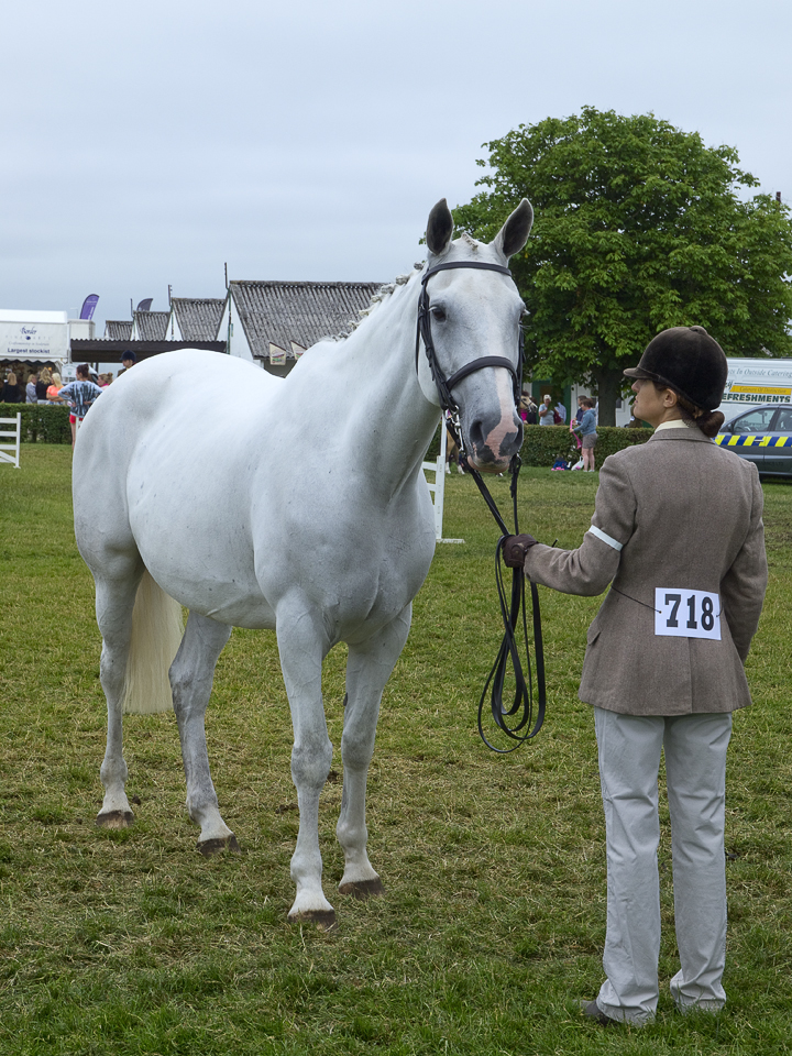 White horse and handler, Great Yorkshire Show