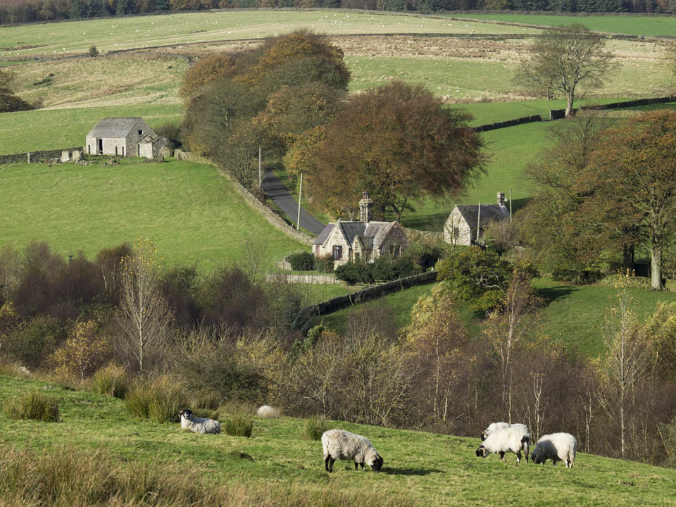 Blubberhouses