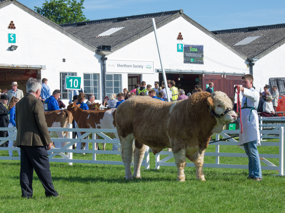 Great Yorkshire Show, 2016