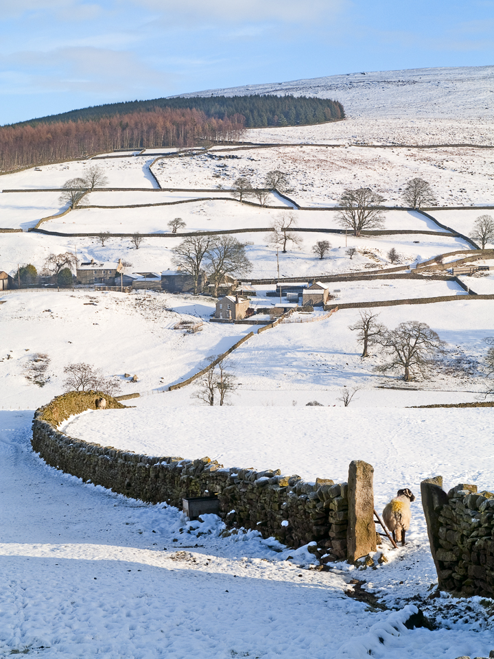 Countryside near Barden Tower
