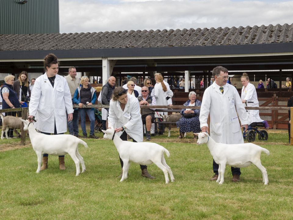 The Great Yorkshire Show, 2023