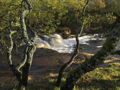 River Swale near Wain Wath Force