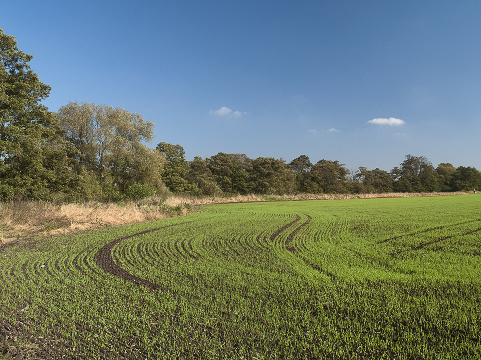 Farmland, Hampsthwaite