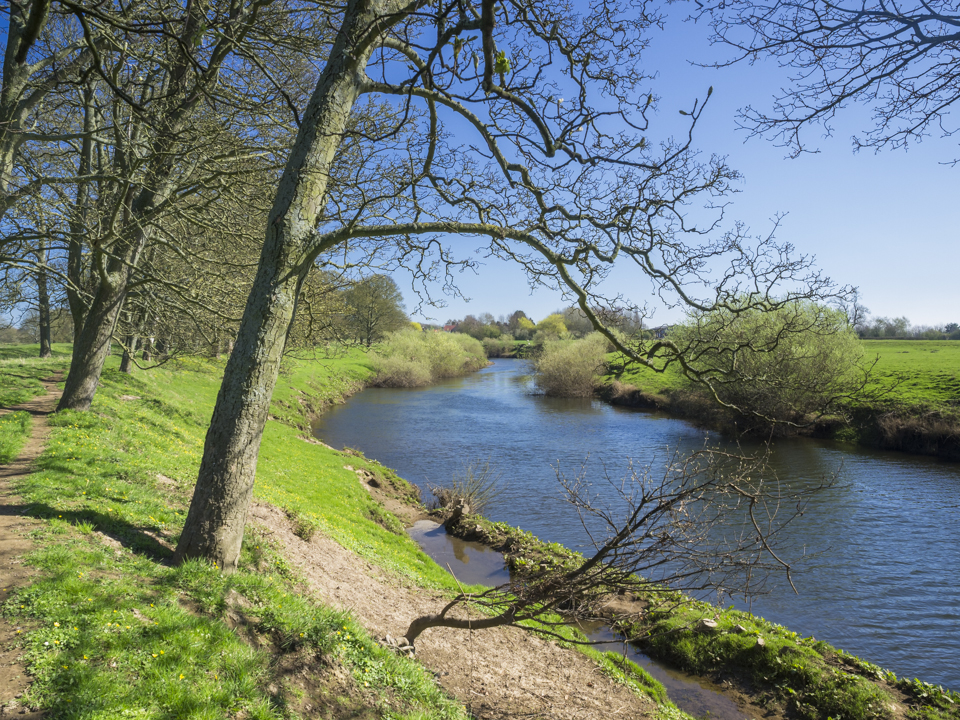 River Swale at Myton on Swale
