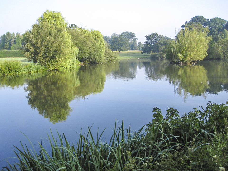 Gardens of Nidd Hall hotel