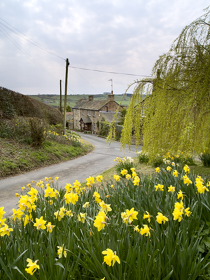 Chapel Hill village in springtime