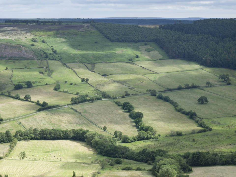 The view from Bank Top