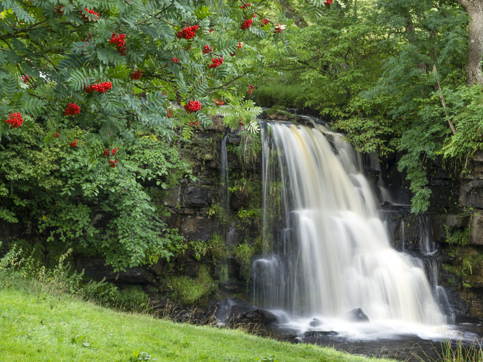 East Gill Force